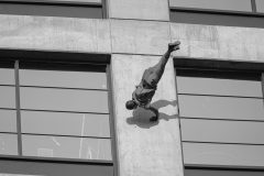 Fly-on-a-Wall