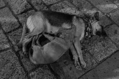 Napping