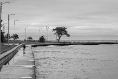 Lonely-Walk-revised