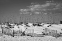 Shadows-and-Fence-revised