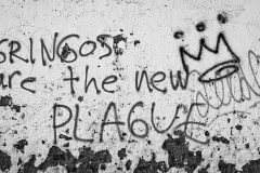 The-New-Plague